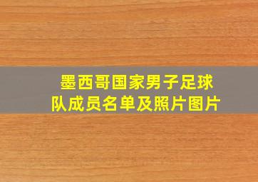 墨西哥国家男子足球队成员名单及照片图片