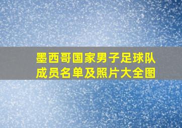 墨西哥国家男子足球队成员名单及照片大全图