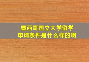 墨西哥国立大学留学申请条件是什么样的啊