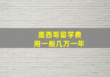 墨西哥留学费用一般几万一年