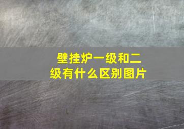 壁挂炉一级和二级有什么区别图片