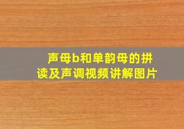 声母b和单韵母的拼读及声调视频讲解图片