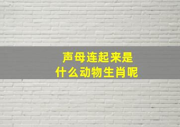 声母连起来是什么动物生肖呢