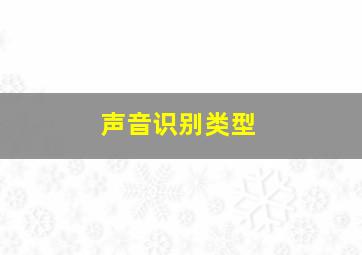 声音识别类型