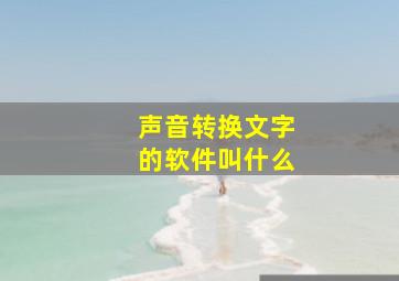 声音转换文字的软件叫什么