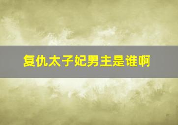 复仇太子妃男主是谁啊