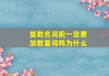 复数名词前一定要加数量词吗为什么