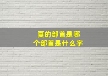 夏的部首是哪个部首是什么字