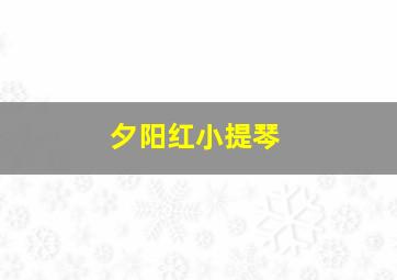 夕阳红小提琴