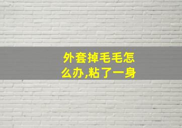 外套掉毛毛怎么办,粘了一身