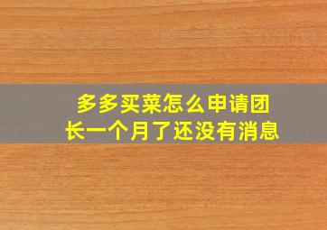 多多买菜怎么申请团长一个月了还没有消息