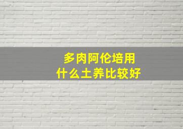 多肉阿伦培用什么土养比较好