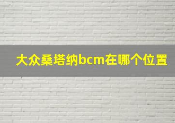 大众桑塔纳bcm在哪个位置