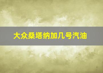 大众桑塔纳加几号汽油