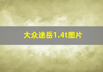 大众途岳1.4t图片