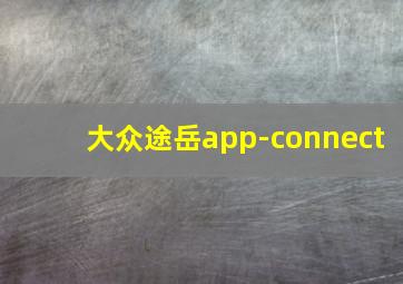 大众途岳app-connect