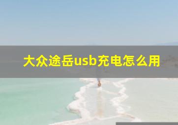 大众途岳usb充电怎么用