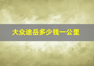 大众途岳多少钱一公里