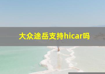 大众途岳支持hicar吗