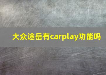 大众途岳有carplay功能吗