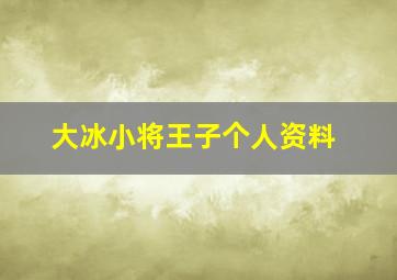 大冰小将王子个人资料