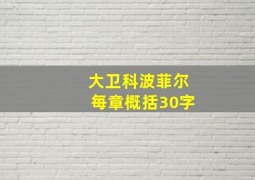 大卫科波菲尔每章概括30字