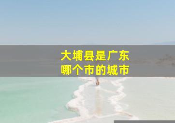 大埔县是广东哪个市的城市