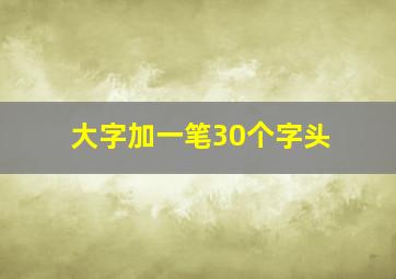 大字加一笔30个字头