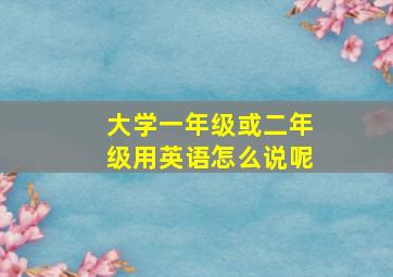 大学一年级或二年级用英语怎么说呢