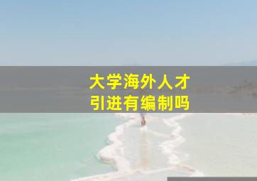 大学海外人才引进有编制吗