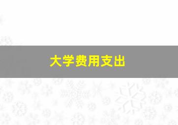 大学费用支出