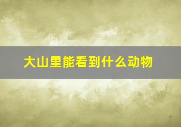 大山里能看到什么动物