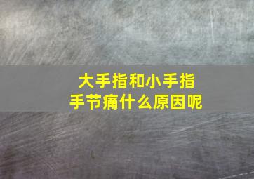 大手指和小手指手节痛什么原因呢