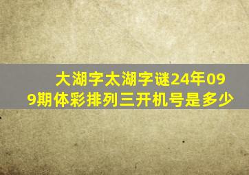 大湖字太湖字谜24年099期体彩排列三开机号是多少