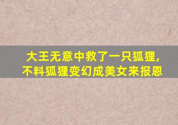 大王无意中救了一只狐狸,不料狐狸变幻成美女来报恩