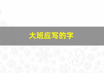 大班应写的字