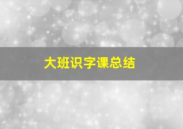 大班识字课总结