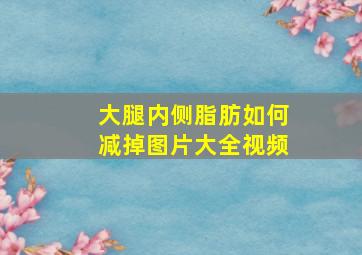 大腿内侧脂肪如何减掉图片大全视频