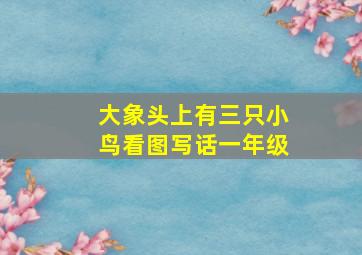 大象头上有三只小鸟看图写话一年级