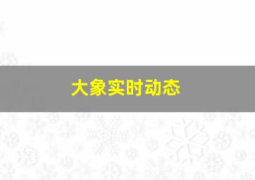 大象实时动态