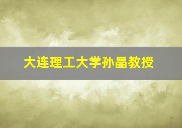 大连理工大学孙晶教授