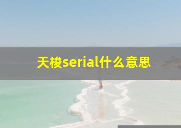 天梭serial什么意思