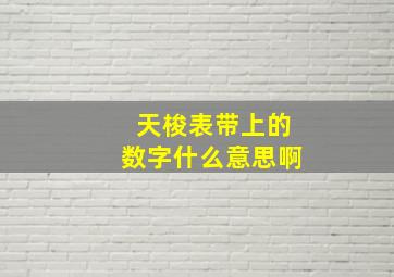 天梭表带上的数字什么意思啊