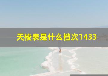 天梭表是什么档次1433