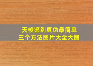 天梭鉴别真伪最简单三个方法图片大全大图