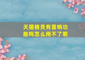 天猫精灵有音响功能吗怎么用不了呢