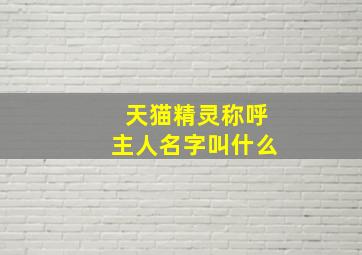 天猫精灵称呼主人名字叫什么