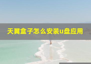 天翼盒子怎么安装u盘应用