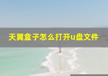 天翼盒子怎么打开u盘文件