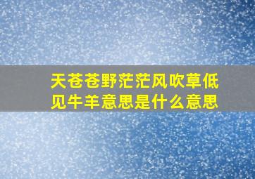 天苍苍野茫茫风吹草低见牛羊意思是什么意思